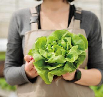 A woman – wearing a gardening apron – holds a large, fresh green lettuce head up to the camera